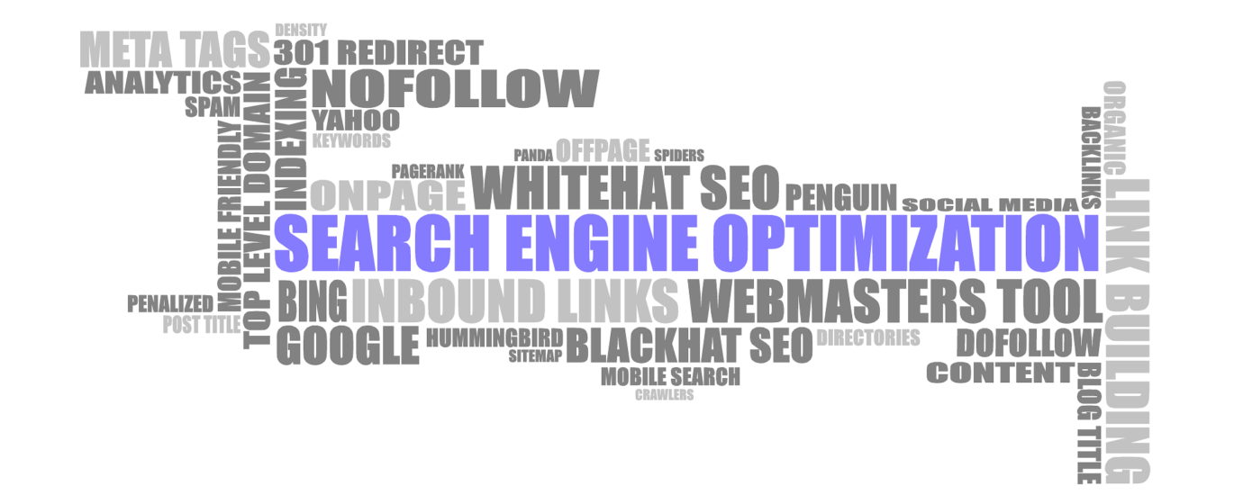 Best SEO Tool for Beginners
